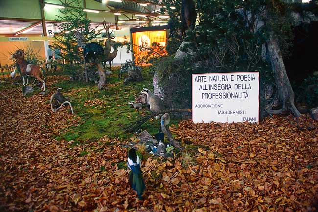 2003-diorama2